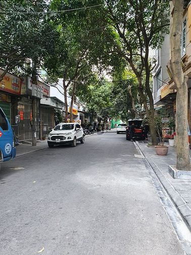 Hình ảnh BÁN Đất phố CHU HUY MÂN - 100m2, PHÂN LÔ - NỞ HẬU-ÔTÔ Vào ĐẤT-2 Thoáng