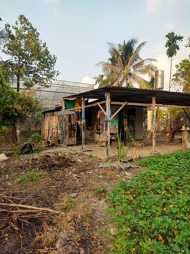Hình ảnh 1495m² đất vườn, có 300 thổ đường 6m giá 5,5tr/m² LH X978486630