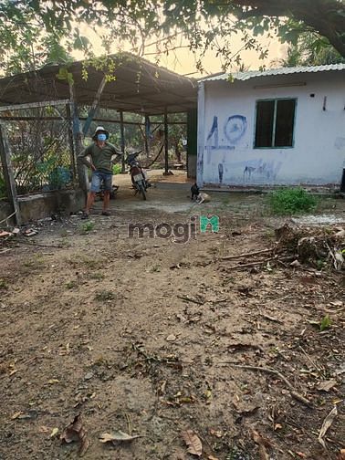 Hình ảnh 1495m² đất vườn, có 300 thổ đường 6m giá 5,5tr/m² LH X978486630