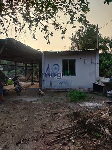 Hình ảnh BÌNH MỸ CỦ CHI  1495m² đất vườn, có 300 thổ cư giá 5,5tr/m² đường 6m