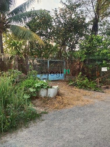 Hình ảnh BÌNH MỸ CỦ CHI  1495m² đất vườn, có 300 thổ cư   giá 5,5tr/m²  thíc