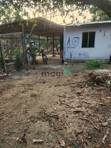 Hình ảnh BÌNH MỸ CỦ CHI  1495m² đất vườn, có 300 thổ cư giá 5,5tr/m² đường 6m