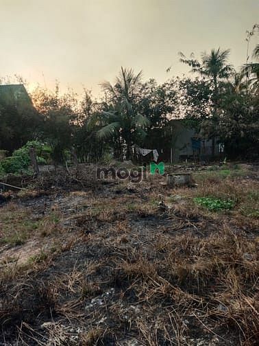 Hình ảnh BÌNH MỸ CỦ CHI  1495m² đất vườn, có 300 thổ cư   giá 5,5tr/m²  thíc