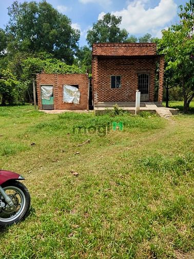 Hình ảnh Bán 1639m² đất trồng cây có 320m² thổ cư giá 13 tỷ tl xã Hòa Phú Củ Ch