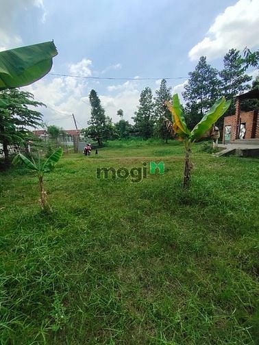Hình ảnh Bán 1639m² đất trồng cây có 320m² thổ cư giá 13 tỷ tl xã Hòa Phú Củ Ch