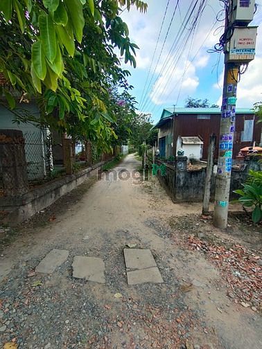 Hình ảnh Bán 1639m² đất trồng cây có 320m² thổ cư giá 13 tỷ tl xã Hòa Phú Củ Ch
