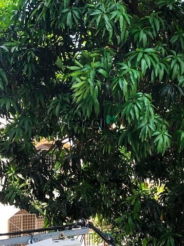Hình ảnh Khai trương Trang Chủ MB66.COM / Đăng Ký Tặng 66K ngay bờ kè Hoàng Sa Quận 3