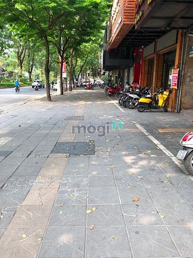 Hình ảnh Cho thuê nhà mặt phố Giãng Võ - Ba Đình