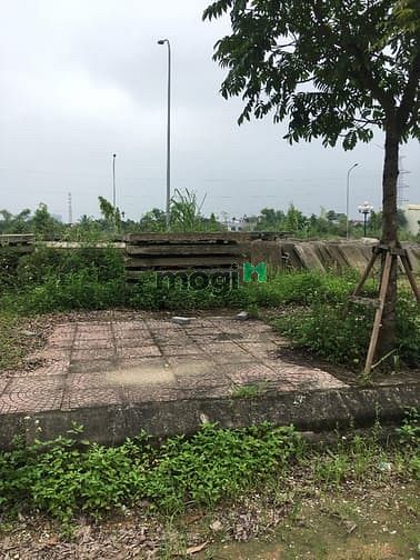 Hình ảnh Đất dự án Mỏ Bạch Central Hills