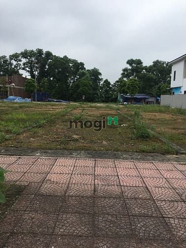 Hình ảnh Đất dự án Mỏ Bạch Central Hills