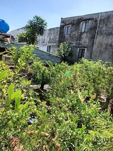 Hình ảnh Bán Lô đất 100m vuông khu dân cư sầm uất đường Vườn Lài