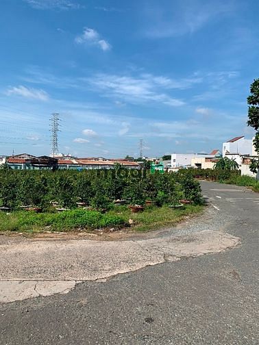 Hình ảnh Cho Thuê kho quận 9 đường xe cont dựng mới 100%