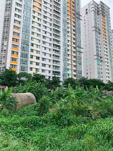 Hình ảnh Cho thuê đất làm bãi xe an Phú quận 2