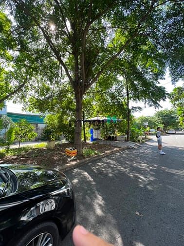 Hình ảnh Duy nhất 1 lô đường số 19, Hiệp Bình Chánh, Thủ Đức. Dt 85m2. Có sổ.