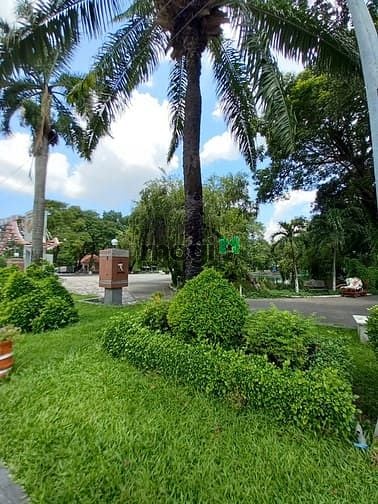 Hình ảnh Bán Nhà Quận Tân Bình - Đường CMT8 - Gần CV Lê Thị Riêng