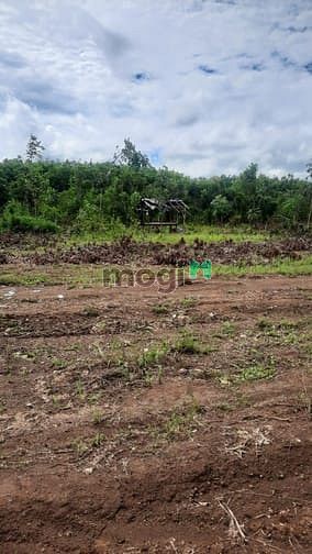 Hình ảnh Đất Bình Phước, Hớn Quản Chợ Thanh An, Mặt Tiền KCN ,đường ôtô đỗ18m