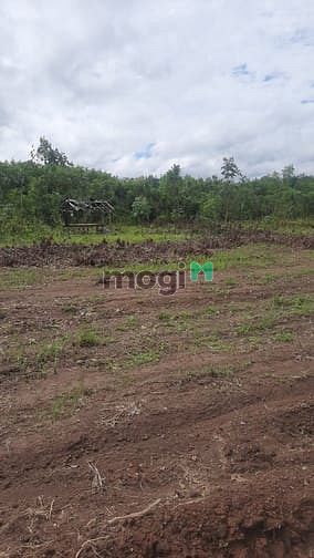 Hình ảnh Đất Bình Phước, Hớn Quản Chợ Thanh An, Mặt Tiền KCN ,đường ôtô đỗ18m