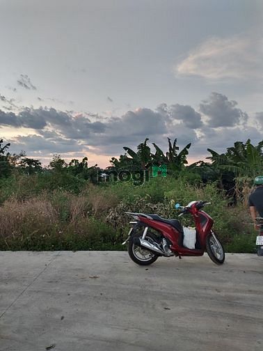 Hình ảnh Bán nhanh đất thổ cư 100%, sổ riêng sẵn, gần cây xăng Sông Trầu