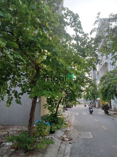 Hình ảnh Đất Thổ cư nhà ở, Tân Quý Tân Quý, Bình Tân.