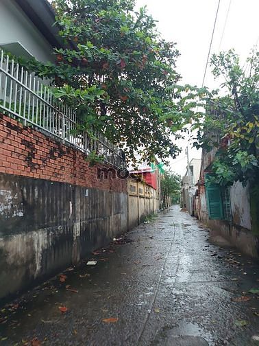 Hình ảnh Xưởng mặt tiền đường, 186 Mễ Cốc, quận 8 - 2500m2