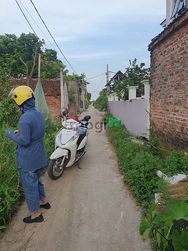 Hình ảnh Đất rẻ làng nghề mây tre đan Xuân Lai, huyện Gia Bình, Bắc Ninh