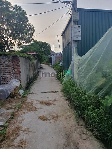 Hình ảnh Đất rẻ làng nghề mây tre đan Xuân Lai, huyện Gia Bình, Bắc Ninh