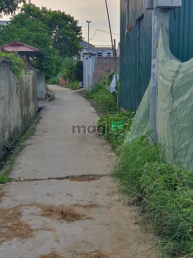 Hình ảnh Đất rẻ làng nghề mây tre đan Xuân Lai, huyện Gia Bình, Bắc Ninh