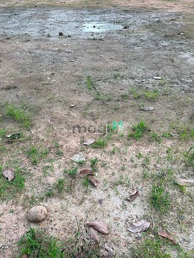 Hình ảnh Bán 100m2 tại KCN Giang Điền giá 650tr. SHR full thổ cư