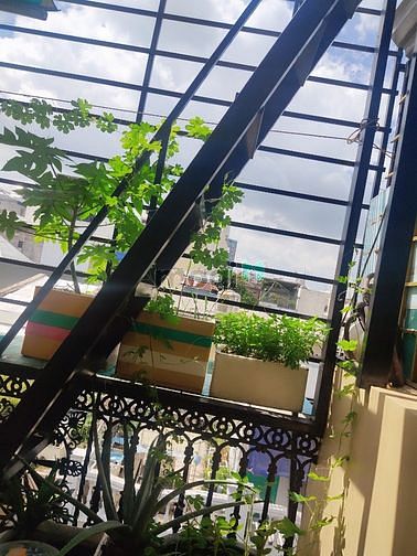 Hình ảnh Thuê phòng Tân Bình, giáp gò vấp, bình thạnh, quận 1, tân phú,...