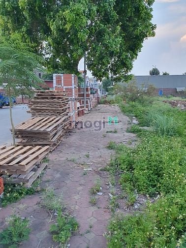 Hình ảnh Đất kinh doanh trục chính dự án Cao Thọ, Vạn Ninh, Gia Bình, Bắc Ninh