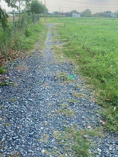 Hình ảnh Đất hóc môn giá 1,9tr/m còn thương lượng