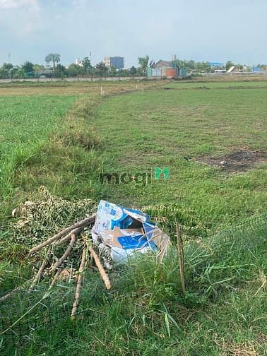 Hình ảnh Đất hóc môn giá 1,9tr/m còn thương lượng