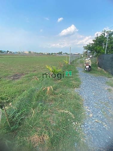 Hình ảnh Đất hóc môn giá 1,9tr/m còn thương lượng