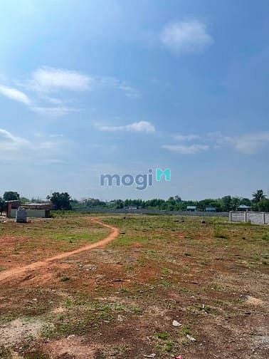 Hình ảnh Cho thuê đất 5.500m2 gần đường Liên Phường, Phú Hữu, Quận 9