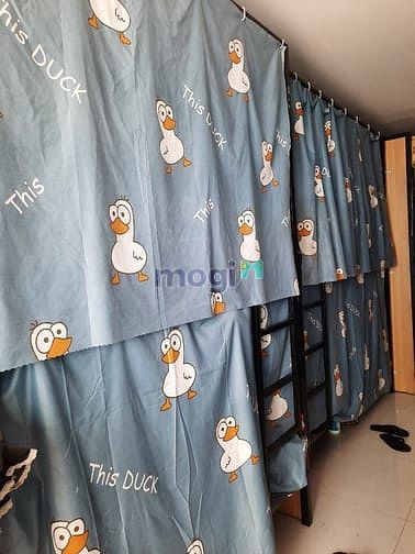 Hình ảnh Pass giường Ký túc xá Nữ tầng trên