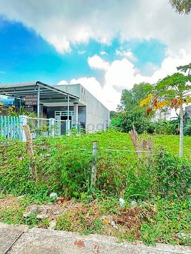 Hình ảnh Đất nền mặt tiền 331,4m2 xã Phước Hưng, Long Điền, BRVT cần bán gấp