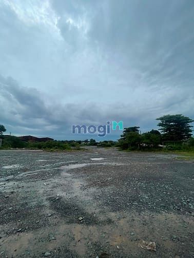 Hình ảnh Cho thuê đất làm bãi xe cont, vật liệu 5000m2 đến 6ha Hoàng Hữu Nam Q9