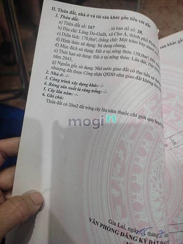 Hình ảnh Bán đất rìa trung tâm thành phố Pleiku, đất 2 mặt tiền giá rẽ