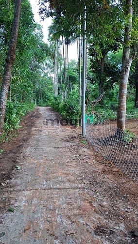 Hình ảnh Bán đất tại Ninh An, Hòa Nhơn, xã Bà Nà, Đà Nẵng, 1,6 tỷ, 439,9 m2