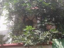 Hình ảnh Bán nhà MT Cống Quỳnh góc Trần Hưng Đạo Q1. DT 13 * 20m giá 78 tỷ 10lâ