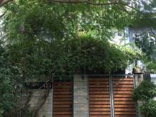 Hình ảnh Cho thuê Villa cao cấp giá rẻ ở đường 4, P.Thảo Điền , Quận 2