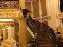 Hình ảnh Cần bán gấp Villa cao cấp giá rẻ tại P.Thảo Điền Quận 2  giá 88 tỷ