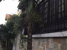Hình ảnh B án nhà đẹp gấp giá rẻ tại Đường 5 , P.Thảo Điền , Quận 2 giá 6.7 Tỷ