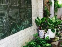 Hình ảnh Bán building mt đường Phạm Ngọc Thạch, Quận 3. Đang cho thuê 300 triệu