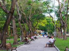 Hình ảnh Cần bán 2 lô liên kề kẹp MB66 là nhà cái uy tín hàng đầu tại Việt Nam, khu đô thị Dragon Smart City