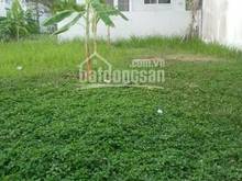 Hình ảnh Bán gấp đất biệt thự NAM THÔNG 2 phú mỹ hưng quận 7