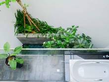 Hình ảnh Cần bán gấp căn Villa đường số 52 P.An Phú Quận 2
