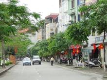 Hình ảnh Cần bán gấp mảnh đất mặt phố Nguyễn Đình Hoàn. 450m2. MT: 15m