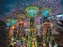 Hình ảnh Chính thức bán Vincity Quận 9 giá chỉ 750 triệu