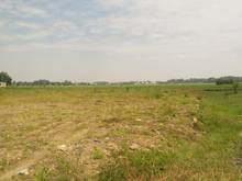 Hình ảnh Cần bán đất làm kho xưởng - mặt tiền đường Lê Minh Nhựt - Tân An Hội